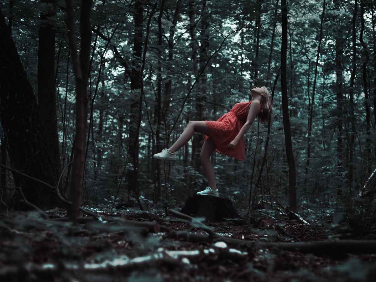 Chapter Seven – A Fairy Tale&nbsp;Beginning